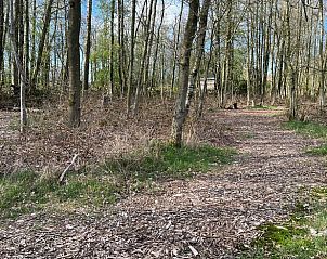 Verblijf 268923 - Vakantiewoning Het Friese platteland - Huisje in Kollumersweach