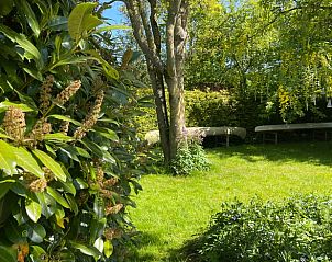 Vakantiehuisje in Stiens, omringd door weelderige natuur op het Friese platteland, biedt een serene tuin met schaduwrijke bomen en groene omgeving.