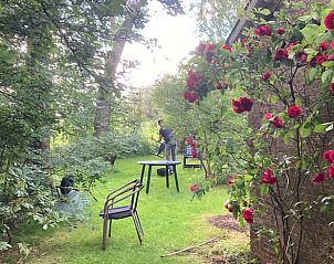 Unterkunft 269204 - Ferienhaus Het Friese platteland - Vakantiehuis in Stiens