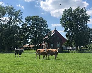 Verblijf 269205 - Vakantiewoning Het Friese platteland - Vakantiehuisje in Stiens