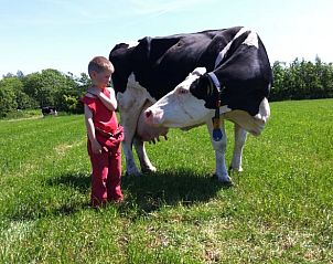 Verblijf 269205 - Vakantiewoning Het Friese platteland - Vakantiehuisje in Stiens
