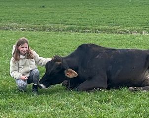 Verblijf 269207 - Vakantiewoning Het Friese platteland - Vakantiehuis in Stiens