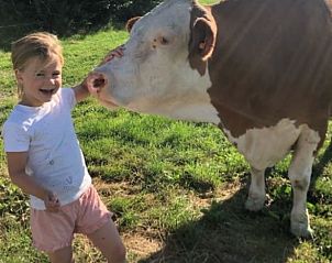 Guest house 269208 - Holiday property Het Friese platteland - Huisje in Stiens