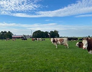 Guest house 269208 - Holiday property Het Friese platteland - Huisje in Stiens