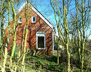Authentiek vakantiehuisje in Wyns met groene omgeving, gelegen op het Friese platteland, Friesland.