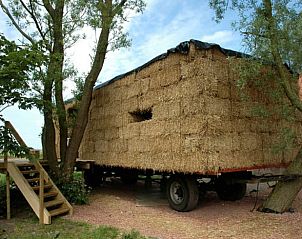 Buitenkant van strobedekte Vakantiehuis in Wyns, Friesland, met houten toegangstrap.