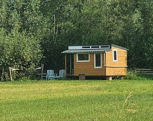 Unterkunft 269901 • Ferienhaus Het Friese platteland • Vakantiehuisje in Tijnje 