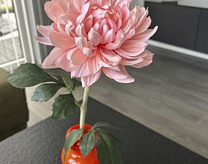 Guest house 280122 - Holiday property Rivierengebied - Vakantiehuis Chalet Time Out