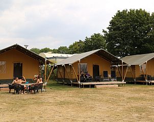 Unterkunft 280125 - Zelthaus Rivierengebied - Safaritent | 6 personen