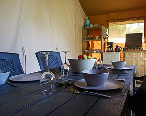 Unterkunft 280125 - Zelthaus Rivierengebied - Safaritent | 6 personen