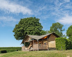 Unterkunft 280140 - Ferienhaus Rivierengebied - Safaritent Ranger | 8 personen