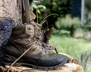Unterkunft 280217 - Ferienhaus Rivierengebied - Vakantiehuis in Nijmegen