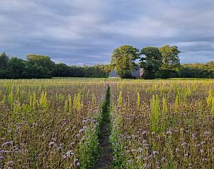 Unterkunft 280902 - Ferienhaus Rivierengebied - Vakantiehuisje in Arnhem
