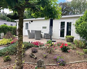 Verzorgde tuin met terras bij Chalet in Arnhem, vakantiehuis in Rivierengebied, Gelderland.