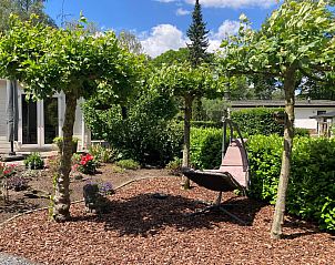 Schommelstoel in de tuin van Chalet in Arnhem, vakantiehuis in Rivierengebied, Gelderland.
