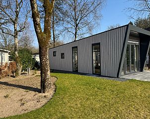 Chalet in Arnhem omgeven door bomen en natuur in het prachtige Rivierengebied van Gelderland.