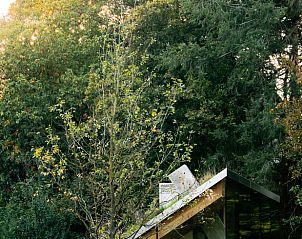 Unterkunft 2809123 - Ferienhaus Rivierengebied - Vakantiehuisje in Arnhem