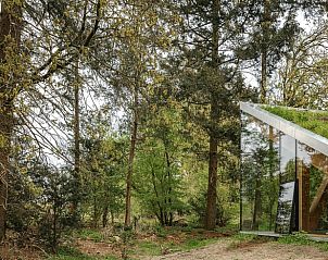 Unterkunft 2809123 - Ferienhaus Rivierengebied - Vakantiehuisje in Arnhem