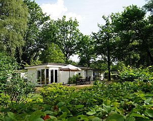 Exclusif 6 vakantiehuis in Arnhem, Gelderland, omgeven door groene natuur en een zonnig terras in het Rivierengebied.