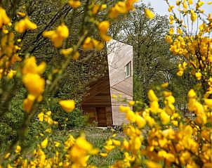 Guest house 280933 - Holiday property Rivierengebied - Vakantiehuis in Arnhem