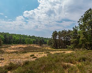 Verblijf 280934 - Vakantiewoning Rivierengebied - EuroParcs De Hooge Veluwe