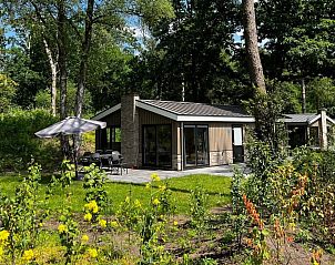 Vakantiehuis Hackfort 6 in Arnhem, Gelderland, met zonnig terras omgeven door weelderige natuur in het Rivierengebied.