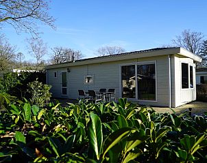 Unterkunft 280952 - Ferienhaus Rivierengebied - Unique Nouveau 4