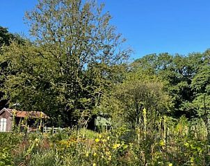 Unterkunft 280996 - Ferienhaus Rivierengebied - Vakantiehuis in Arnhem