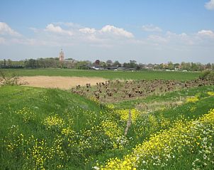 Prachtige natuur rondom De Ruif bed and breakfast in Asperen, Gelderland met weelderige velden.