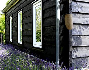 Zijaanzicht van Vakantiehuis in Culemborg, omgeven door lavendel en groen, in het prachtige Rivierengebied.