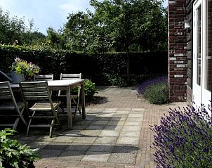 Gezellig terras bij Vakantiehuis in Culemborg, omringd door lavendel en groen in Gelderland.