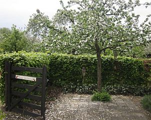 Bloeiende tuin bij Vakantiehuis in Culemborg, een oase van rust in het Rivierengebied.