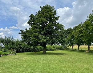 Uitgestrekt groen gazon bij Vakantiehuis in Beuningen, Gelderland, ideaal voor buitenactiviteiten.