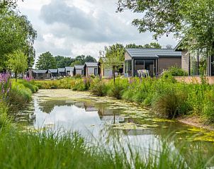 Rustgevende vijver bij Vakantiehuis Just Nature 6, Gelderland, ideaal voor ontspanning.