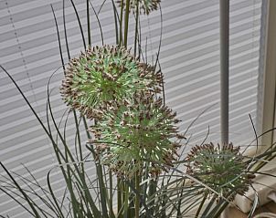 Verblijf 2814122 - Vakantiewoning Rivierengebied - Casa de la Luz