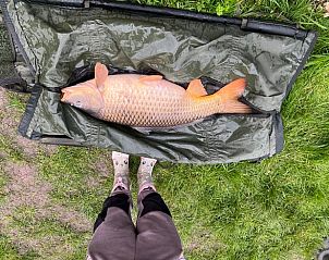 Guest house 281604 - Holiday property Rivierengebied - Vakantiehuisje in Rumpt