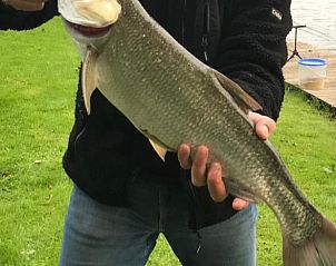 Guest house 281604 - Holiday property Rivierengebied - Vakantiehuisje in Rumpt