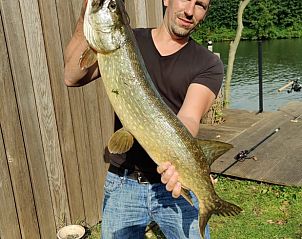 Guest house 281604 - Holiday property Rivierengebied - Vakantiehuisje in Rumpt