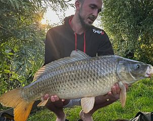 Guest house 281604 - Holiday property Rivierengebied - Vakantiehuisje in Rumpt