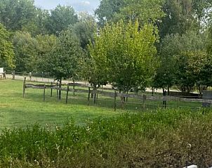 Groene omgeving rondom Vakantiehuisje in Tricht, Gelderland, perfect voor natuurliefhebbers.