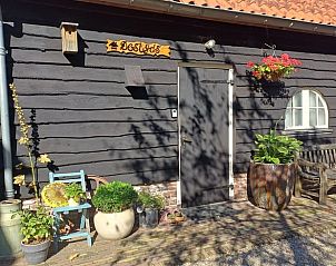 Ingang van Vakantiehuisje in Tricht met rustieke houten deur en bloempotten in Rivierengebied, Gelderland.