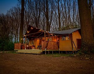 Unterkunft 282704 - Ferienhaus Rivierengebied - Huisje in Altforst