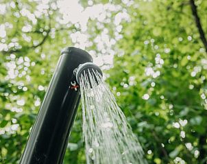 Unterkunft 282704 - Ferienhaus Rivierengebied - Huisje in Altforst