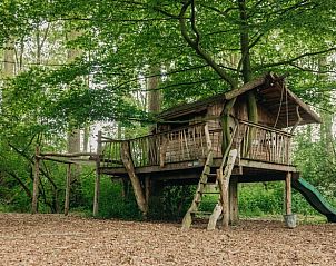 Unterkunft 282704 - Ferienhaus Rivierengebied - Huisje in Altforst