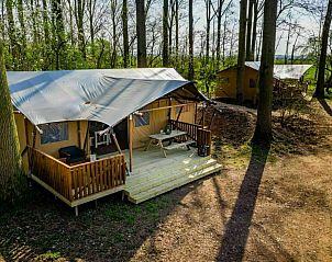 Guest house 282710 - Tent house Rivierengebied - GLAMPHUYS