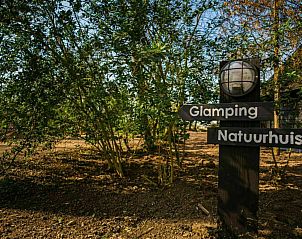 Guest house 282710 - Tent house Rivierengebied - GLAMPHUYS