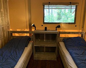 Guest house 282710 - Tent house Rivierengebied - GLAMPHUYS