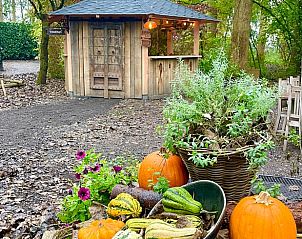 Guest house 282713 - Holiday property Rivierengebied - Vakantiehuisje in Altforst