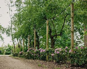 Guest house 282715 - Holiday property Rivierengebied - Vakantiehuis in Altforst