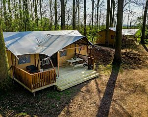 Guest house 282716 - Tent house Rivierengebied - Glamphuys